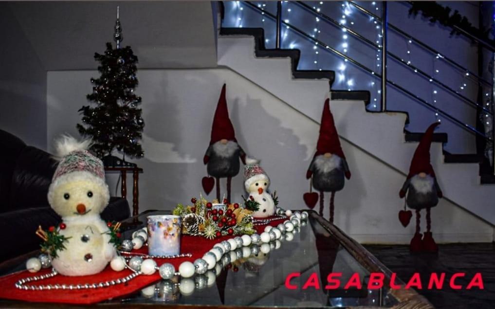 クラヨーヴァ Casablancaホステル エクステリア 写真