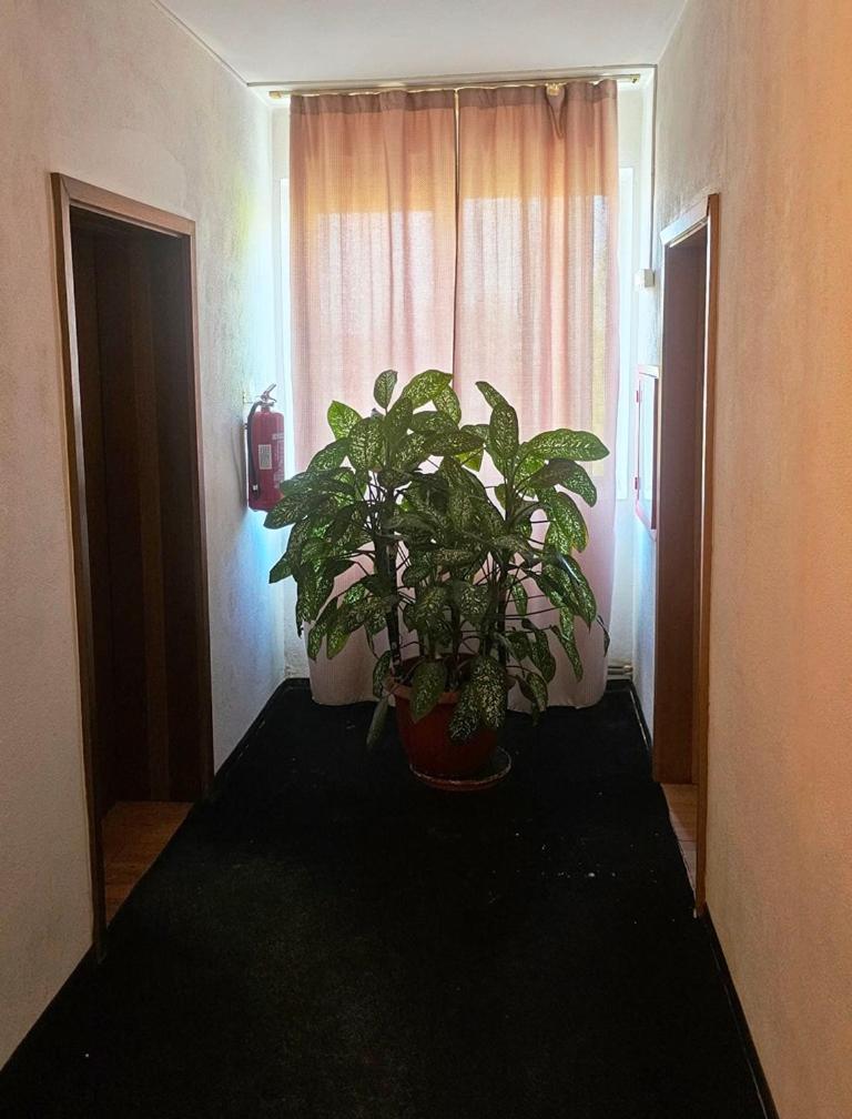 クラヨーヴァ Casablancaホステル エクステリア 写真